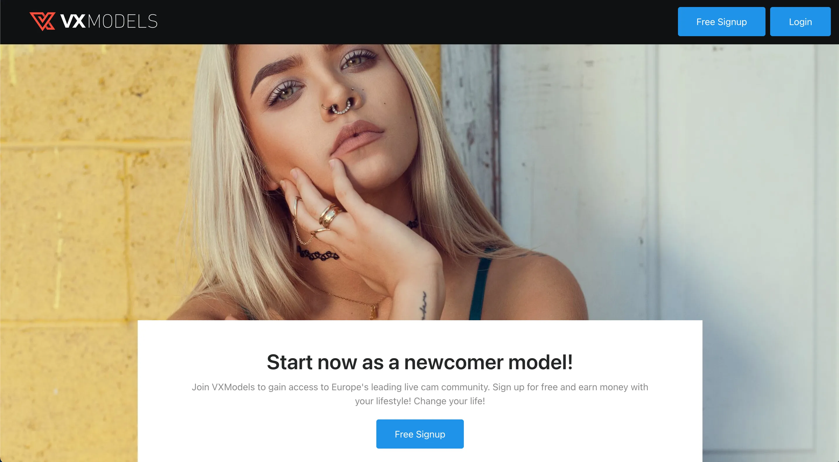 Startseite der Anmeldung bei VXModels
